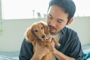 30代・男性【愛犬ハクとの別れを支えたカウンセリング体験】